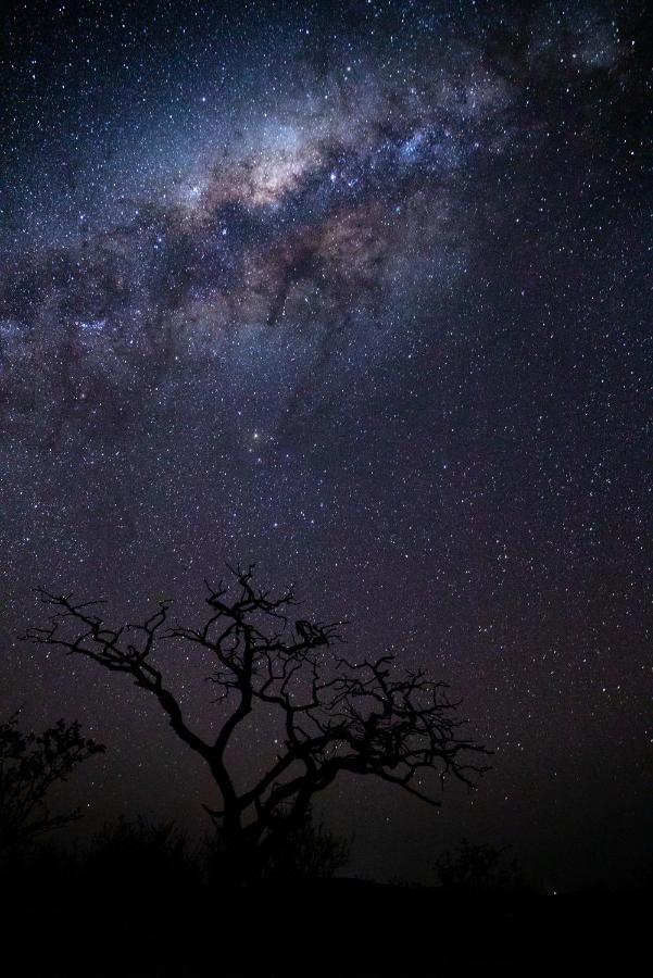 Nedile Lodge Welgevonden Game Reserve Exteriér fotografie