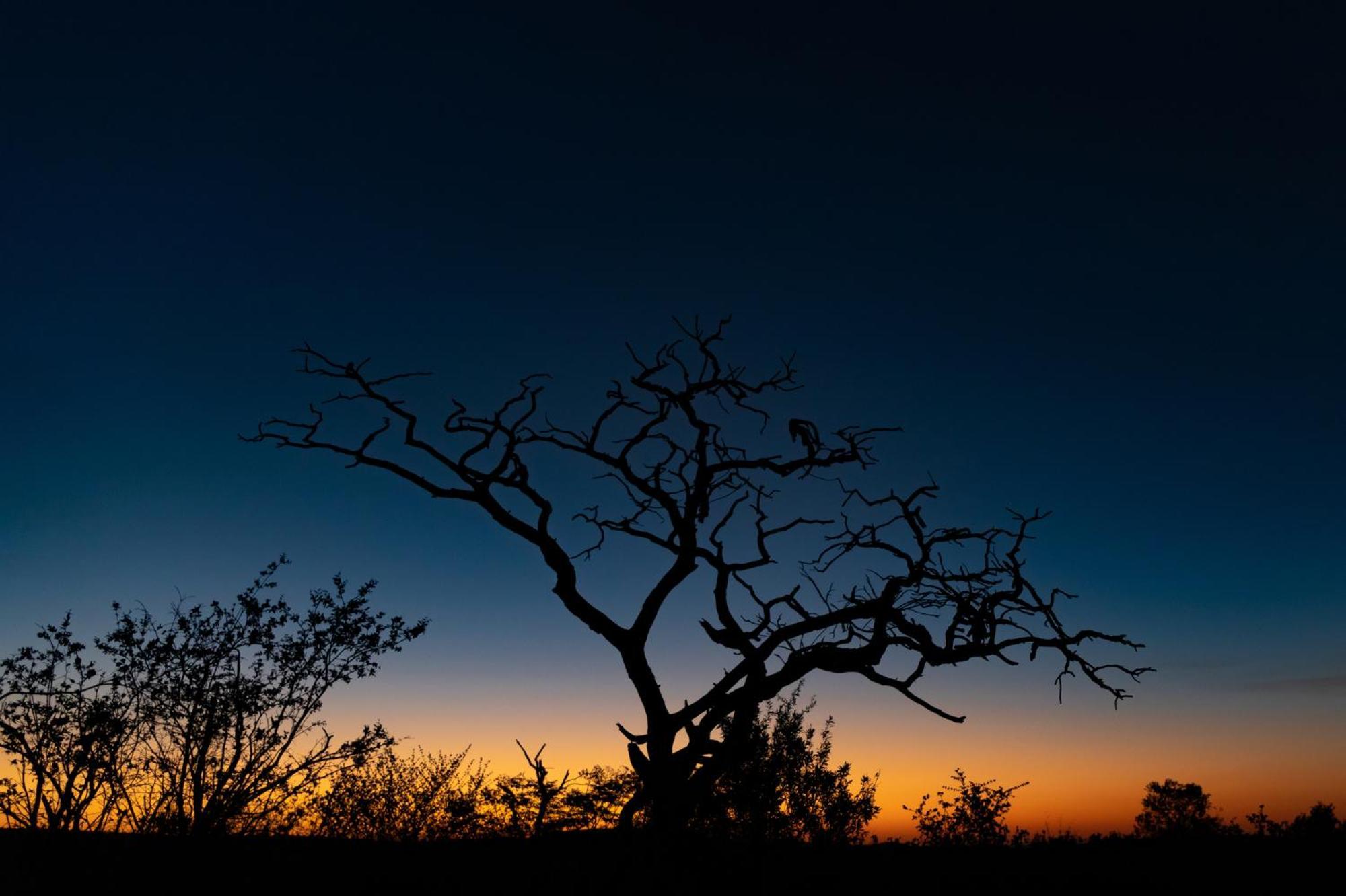 Nedile Lodge Welgevonden Game Reserve Exteriér fotografie